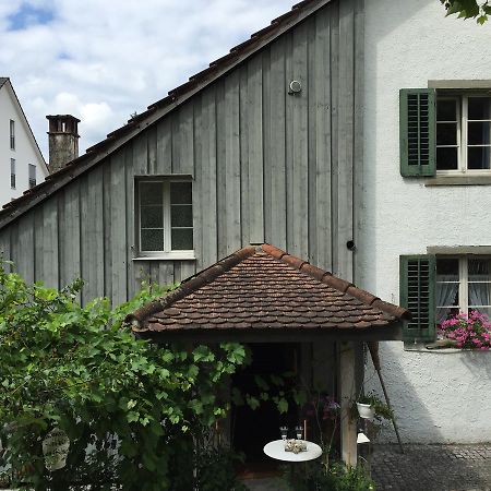 Airport Zuerich Elwiras B & B Lufingen Eksteriør bilde