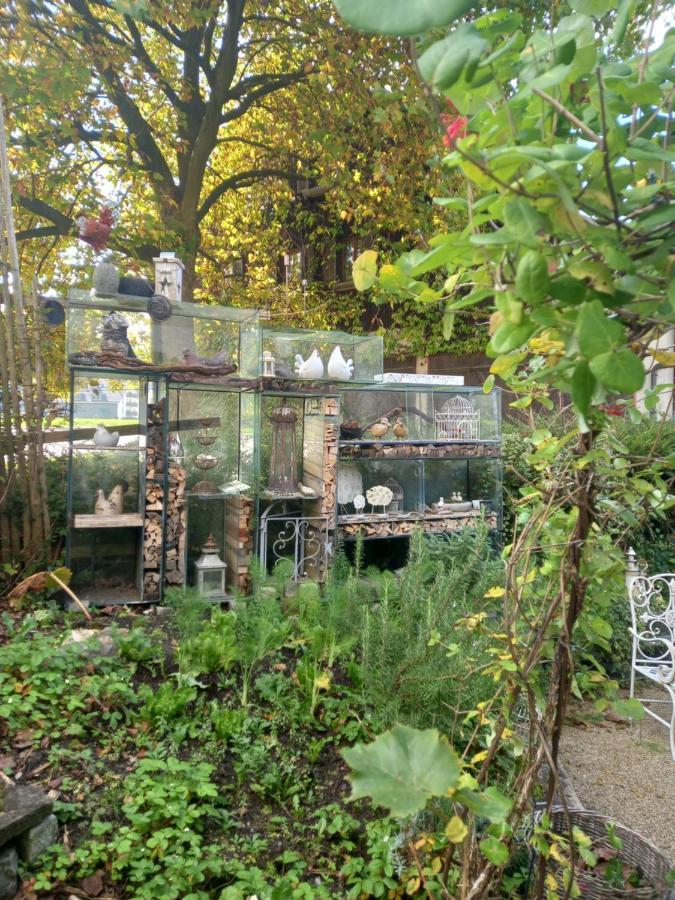 Airport Zuerich Elwiras B & B Lufingen Eksteriør bilde