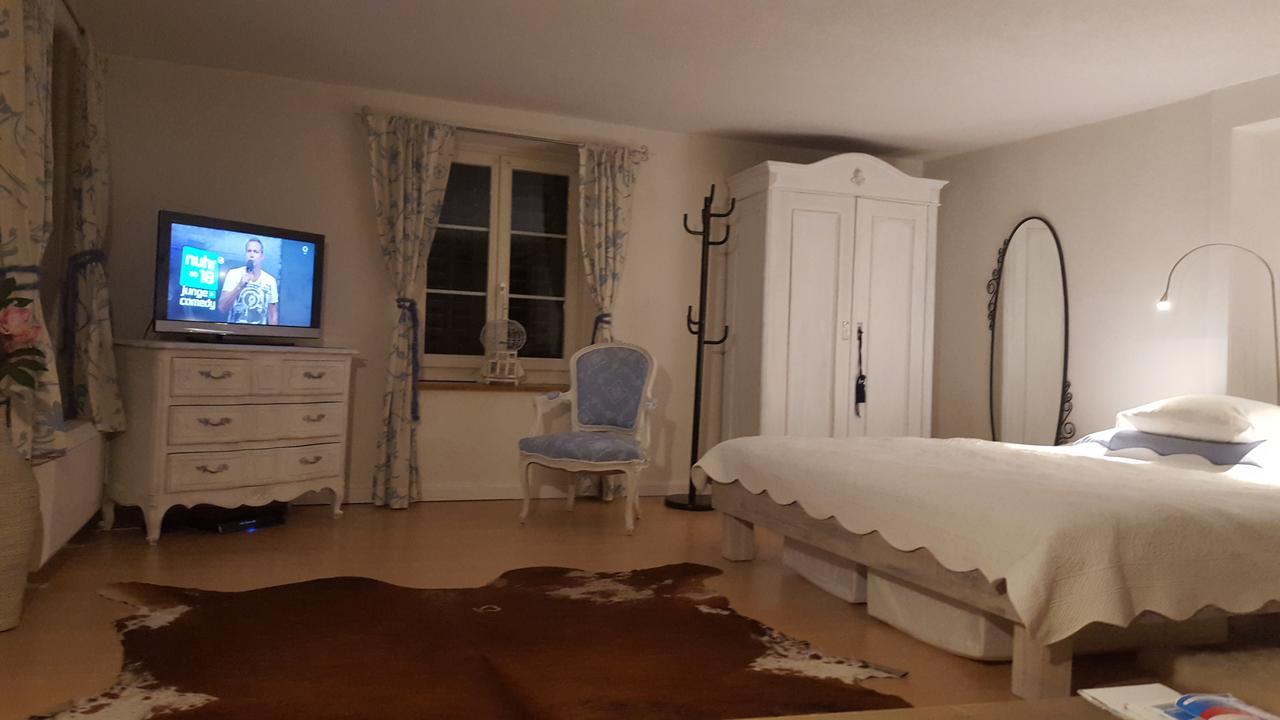 Airport Zuerich Elwiras B & B Lufingen Eksteriør bilde
