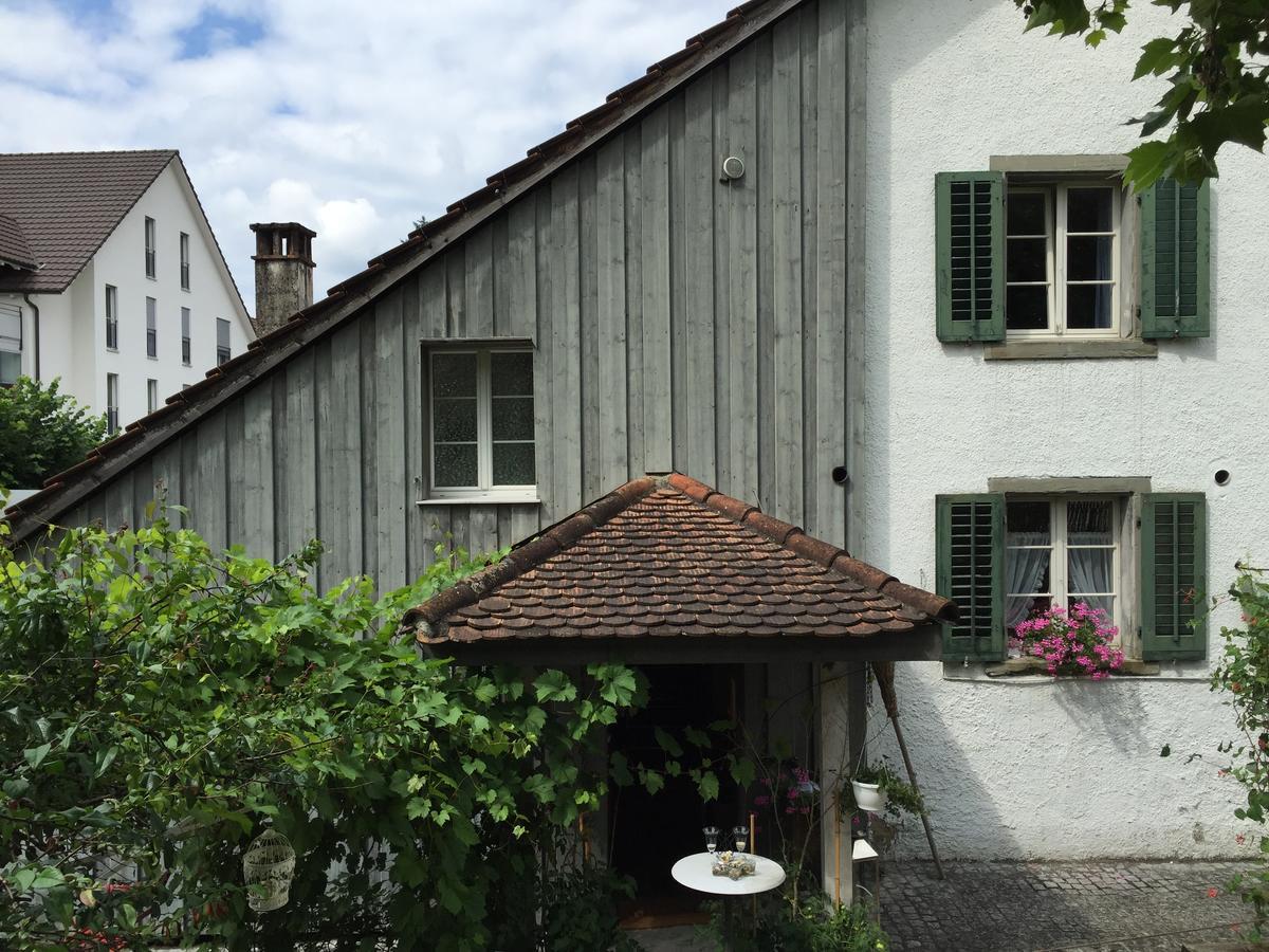 Airport Zuerich Elwiras B & B Lufingen Eksteriør bilde