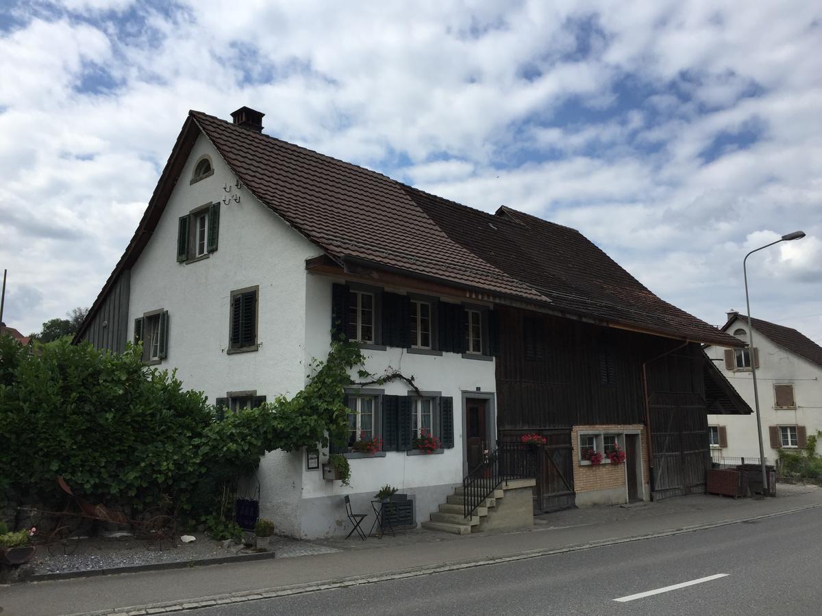 Airport Zuerich Elwiras B & B Lufingen Eksteriør bilde